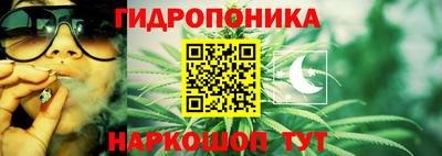 спиды Партизанск