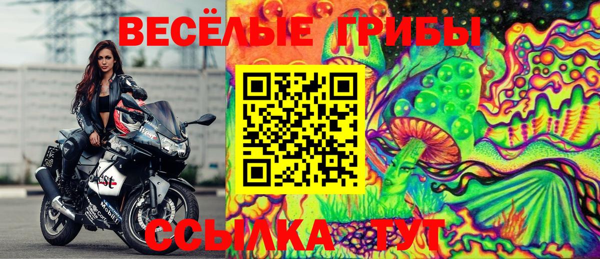 Галлюциногенные грибы прущие грибы Севастополь