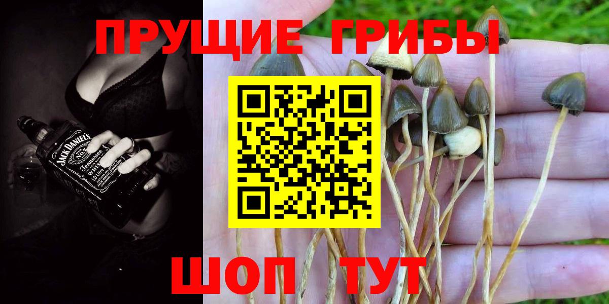 Галлюциногенные грибы Magic Shrooms  Вход с VPN  Севастополь 